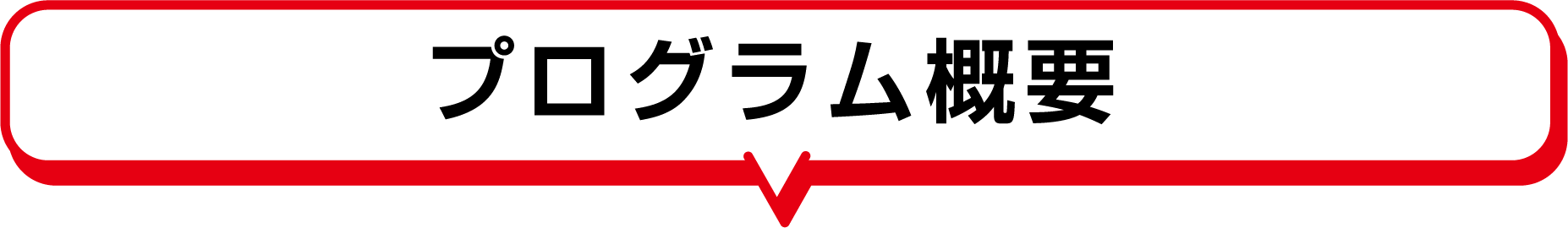 プログラム概要