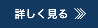 詳しく見る