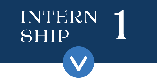 INTERNSHIP 1