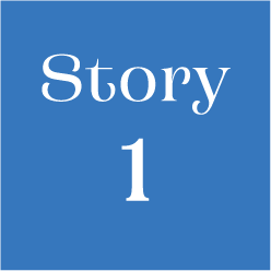 Story 1