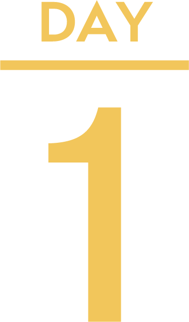 DAY 1