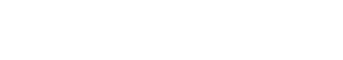 自由度の高さ × 超・実力主義。圧倒的なスピード感で成長