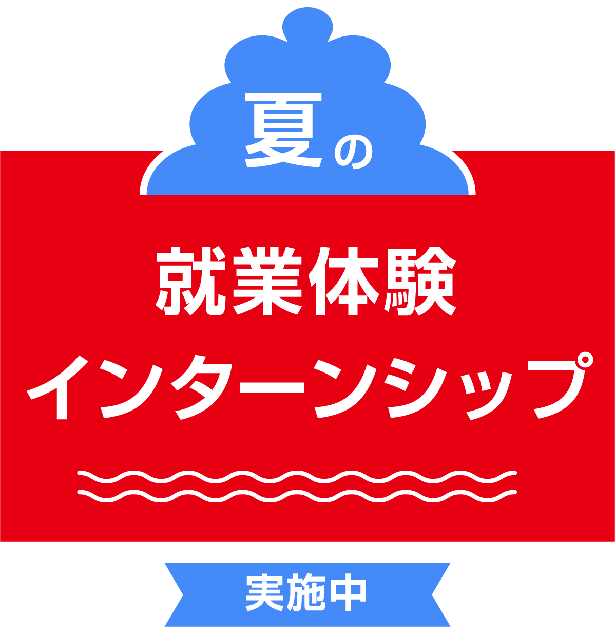 夏の就業体験インターンシップ 実施中