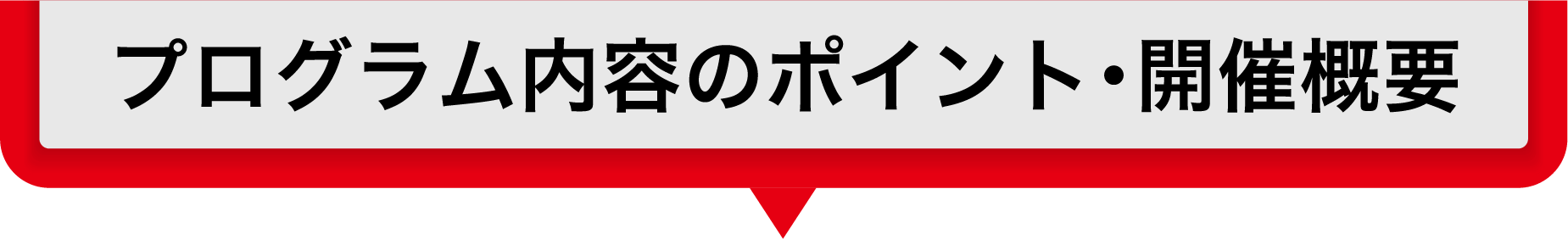 プログラム内容のポイント・開催概要