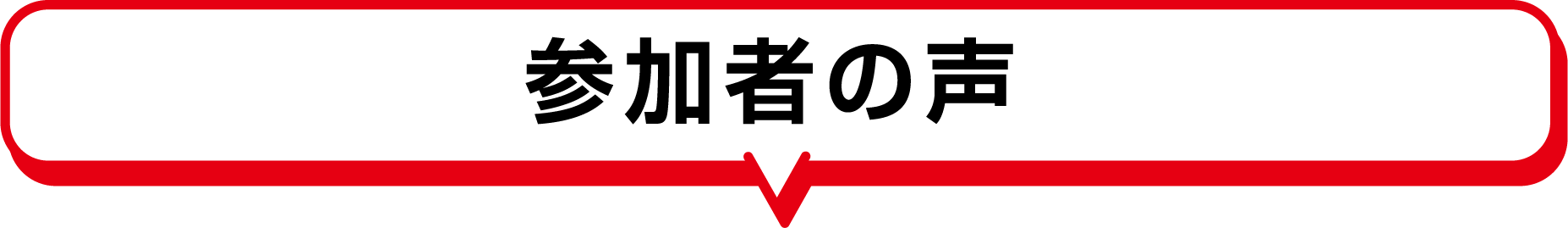 参加者の声