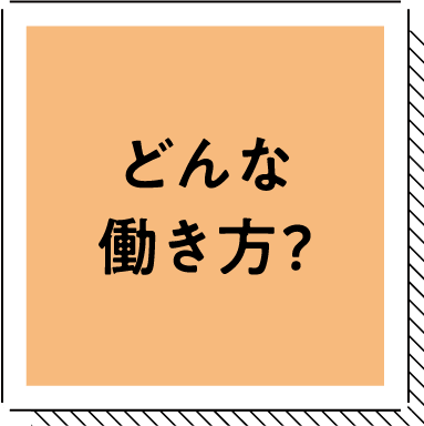どんな働き方？