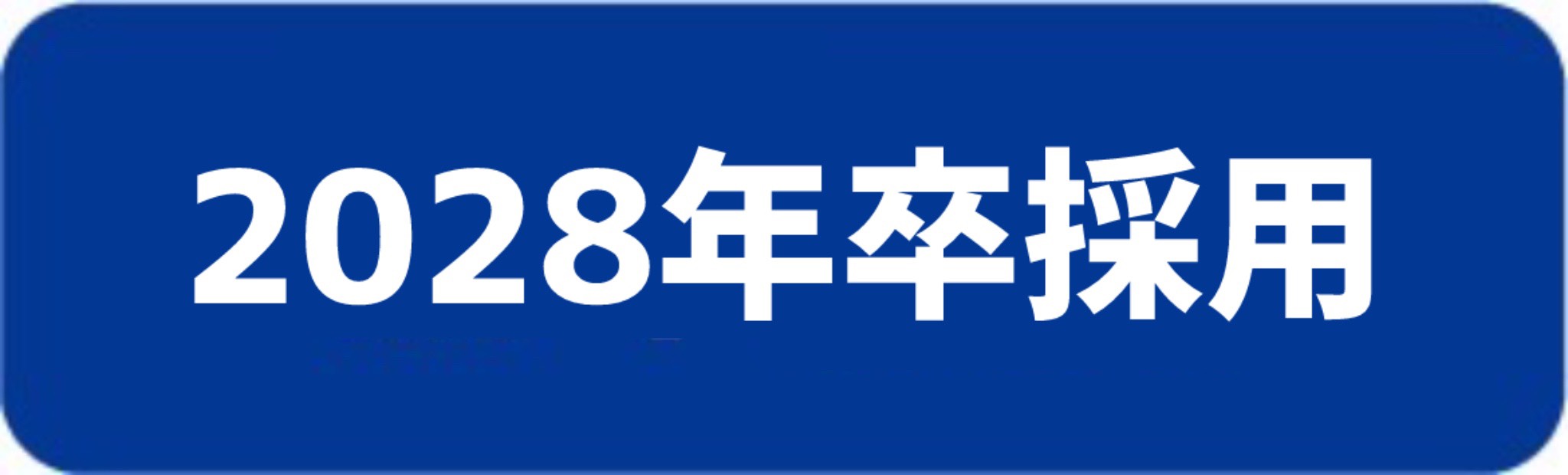 2028年卒採用